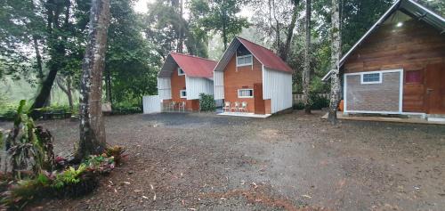 Penginapan Cimanggu forest