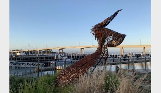 Pennishells by Ready Set Stay- Beach views & WIFI