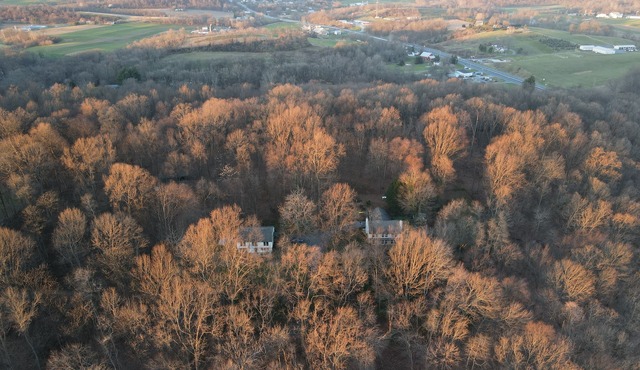 Pennsy Ridge Hideaway: Relax in our centrally-located wooded retreat w/hot tub