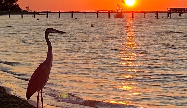 Pensacola Beach with deck views of the Gulf .Pet friendly .