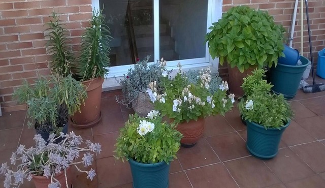 Pensión Las Matillas