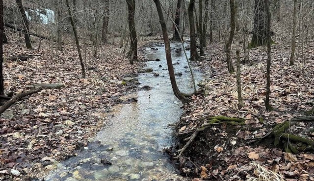 Penthouse at Notch (First Responder Owner)