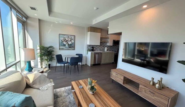 Penthouse downtown 1 Bedroom with 6 appliances