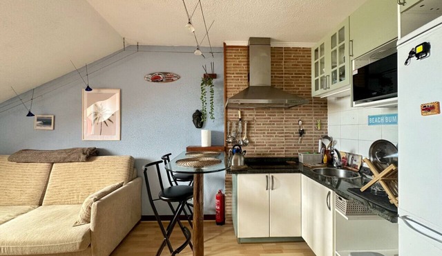 Penthouse in somo near the beach. Lotus Flower - 30604
