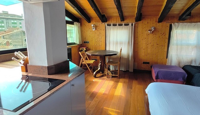 Penthouse-loft with natural light and sun all day overlooking the city center.