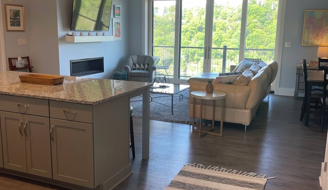 Penthouse - River View, Walk to Restaurants, Pet Friendly, monthly discount