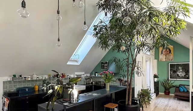 Penthouse with plants and art near Kødbyen