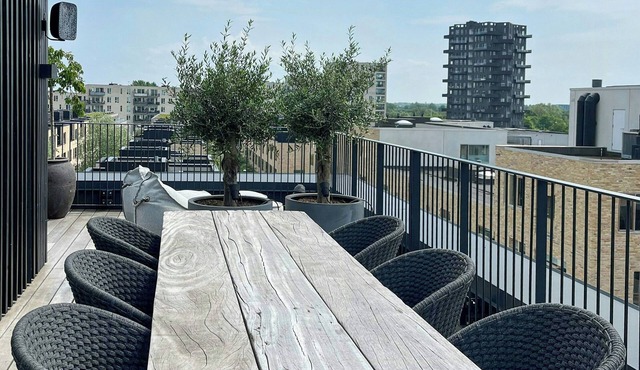 Penthouse with rooftop terrace near Havnevigen
