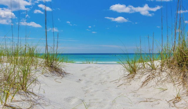 Penthouse With Beautiful Beach Views! 1 Bedroom, 2 Bathroom Penthouse!