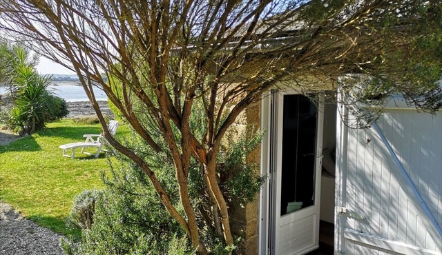 PENTY COZY FEET IN THE WATER