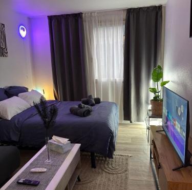 Pepite Levallois - Cozy Studio