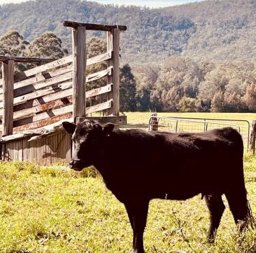 Peppercorns Riverside Farm Stay