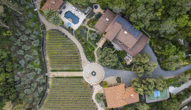 Peppertree Canyon: a Luxury Urban Winery Estate