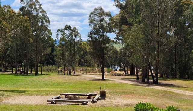 Peppin Pines Retreat -A Private Oasis, acreage with lake views and room to move!