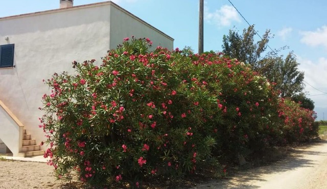 Pequeña casa rural en el centro del Delta del Ebro