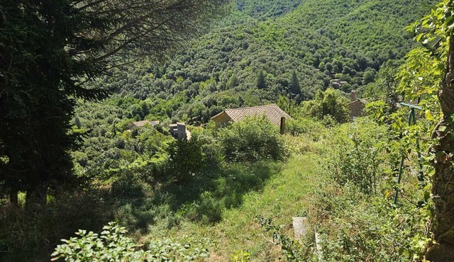 Perched Nest in Cevennes Mountains, relaxing place