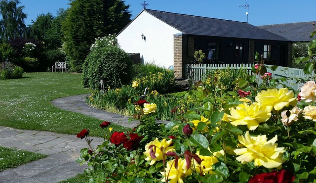 Perfect 2 bedroom pet-friendly family holiday home at Hawthorn Farm, Kent