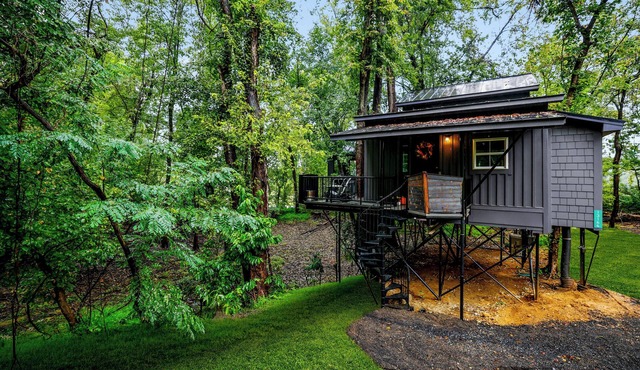 Perfect 2-bedroom Treetop Bungalow Treehouse