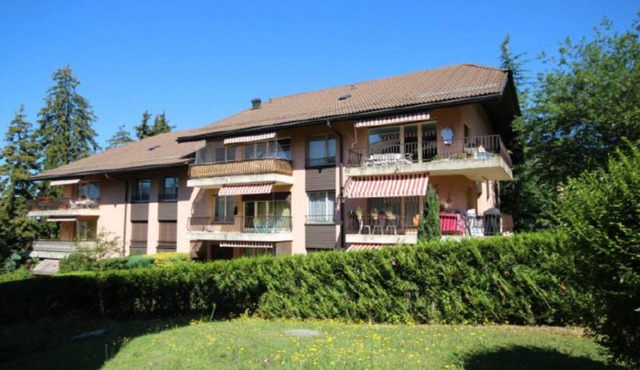 Perfect Apartment for The Montreux Jazz Festival!