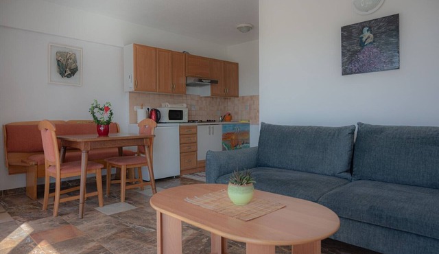 Perfect apartment for 3 with terrace/wifi/pet-friendly