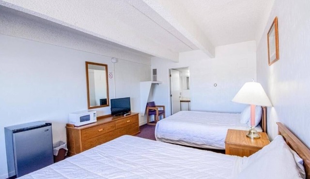 Perfect Budget 2-Room Stay for Pet Owners – Friendly & Comfortable