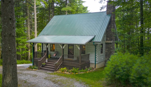 Perfect Cabin in the Woods! Hot Tub, Fire Pit, WI-FI, Central A/C