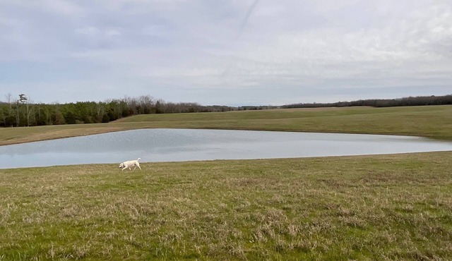 Perfect countryside camping. Beautiful sunsets at the foot of the Ozarks.
