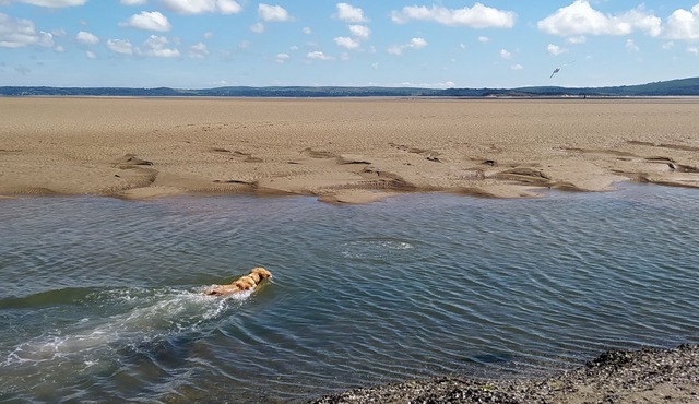 Perfect couples retreat, dog-friendly, explore the welsh coast.