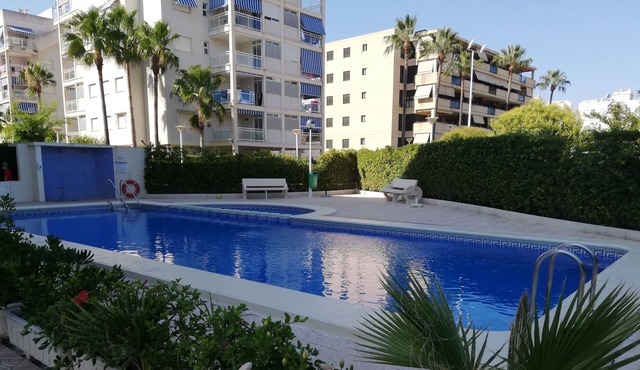 Perfect apartment for your relaxation