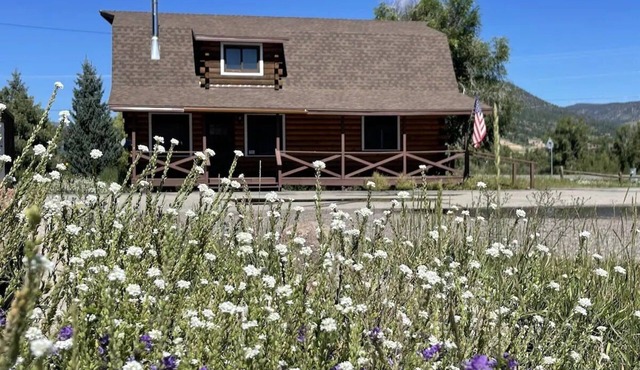 Perfect Family Cabin! 3 Master Suites, Sleeps 10, next to the park!