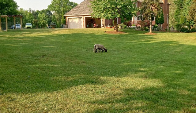 Perfect Family Getaway: Spacious 5BR Home in Barrington