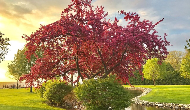 Perfect Family or Corporate Rental for EAA Airventure!