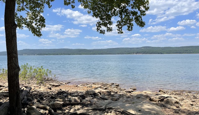 Perfect family sized lakefront home! Enjoy Greer’s Ferry lake from the backyard.