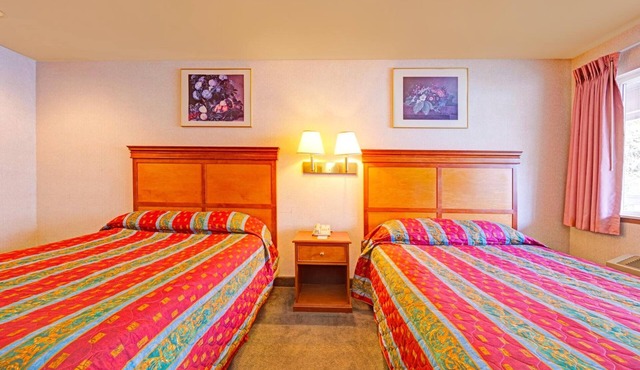 Perfect for Hiking Adventures | 3 Affordable Units | Pets are Allowed