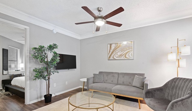 Perfect for Monthly Bookings! Modern, Cozy Gem
