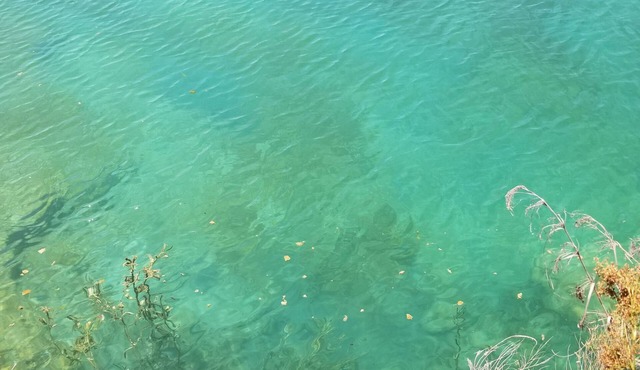 Perfect for those seeking peace, nature, and relaxation with family & friends
