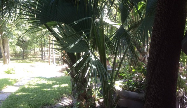 Perfect for work or fun! 1 NIGHT RENTAL AVAILABLE!