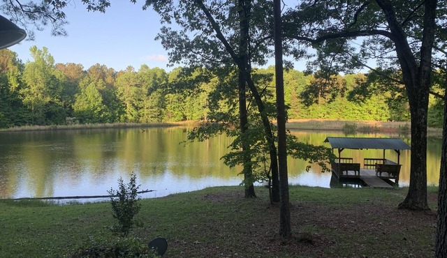 Perfect getaway from the noise & chaos of the city