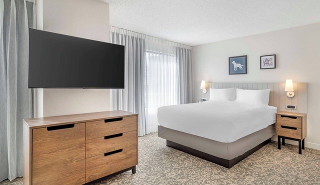 Perfect Home Base for Exploring Alamo City! Pet-Friendly! Free Buffet Breakfast!
