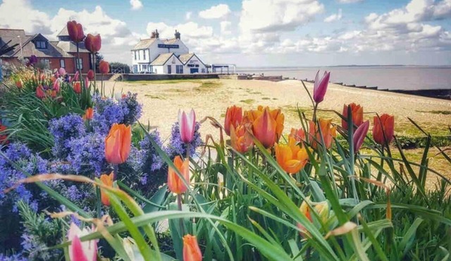 Perfect Location, dog Friendly Beautiful Home