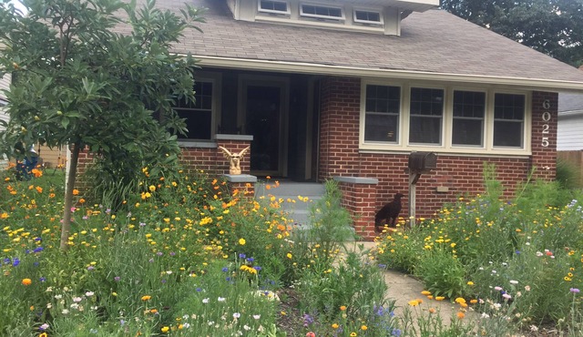 Perfect lower level apartment in heart of Broad Ripple Park. Off street parking.