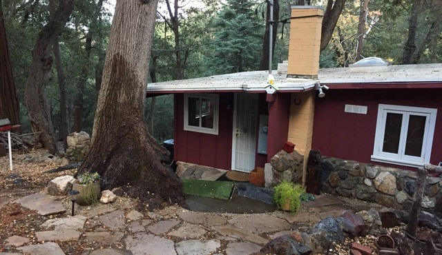 Perfect Palomar Mountain Getaway - Little Red