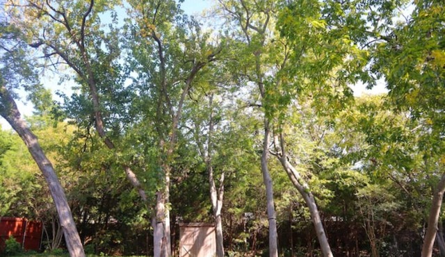 Perfect place for relaxing in the heart of Murphy