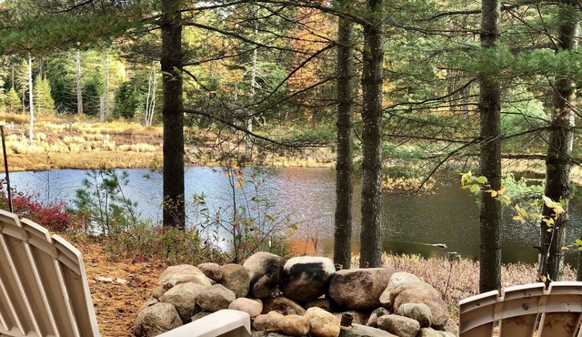 Perfect place to escape the human race! STONY LAKE HIDEOUT