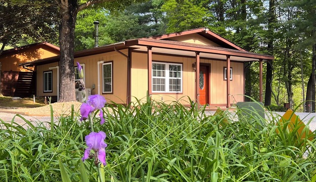 Perfect private and secure 2-bedroom cottage in beautiful Arden, NC