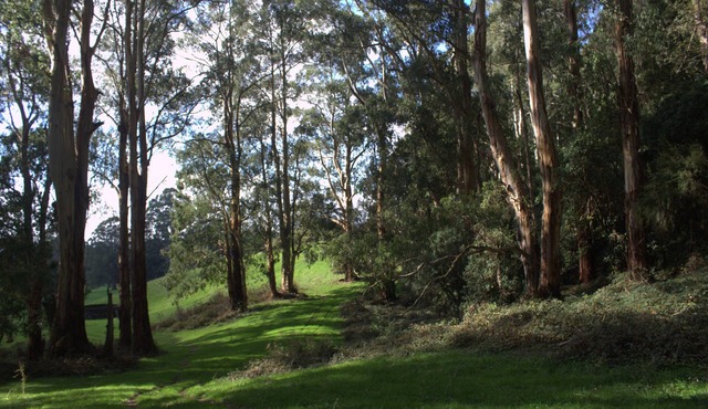 Perfect Tiny House in Nature