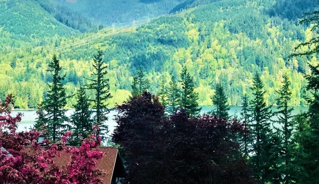 Perfect vacation with everything your family needs in a rental property.