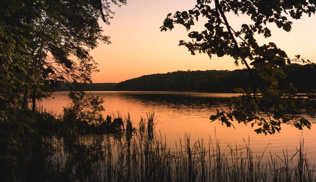 Perfect Winter Lake Getaway Villa on Lake Wylie - Family Friendly + Lovers Dream