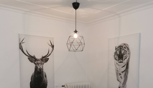 Perfectly located cozy apartment