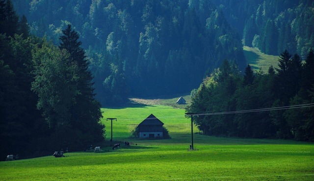 Perfectly precise with a modern design in Beaverton